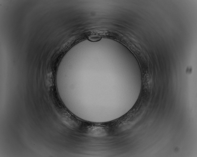 X0000100330224200806191115