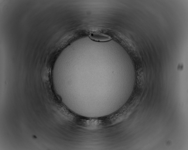 X0000100330225200806191115