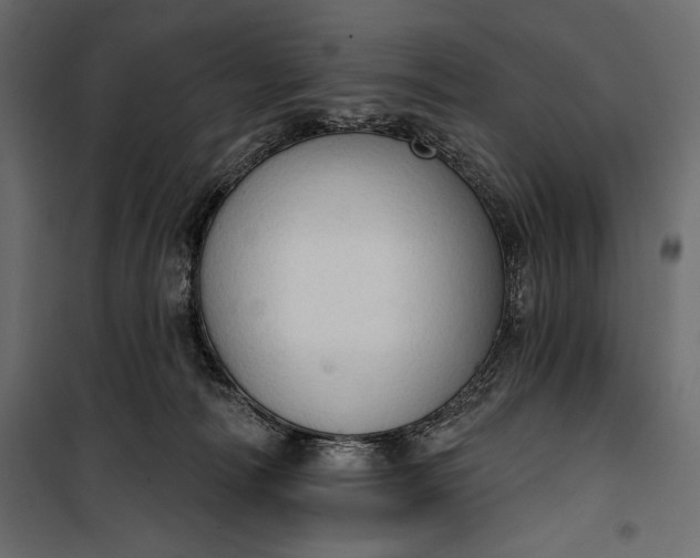 X0000100330226200806191115