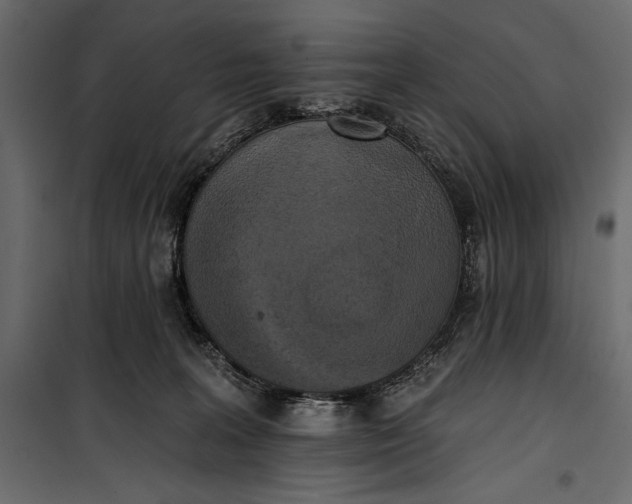 X0000100330227200806191115