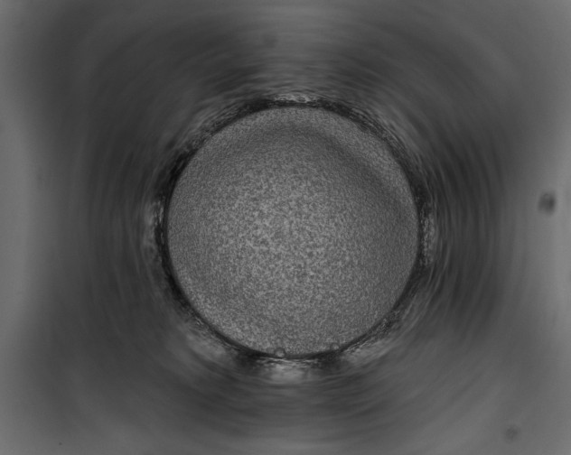 X0000100330229200806191115