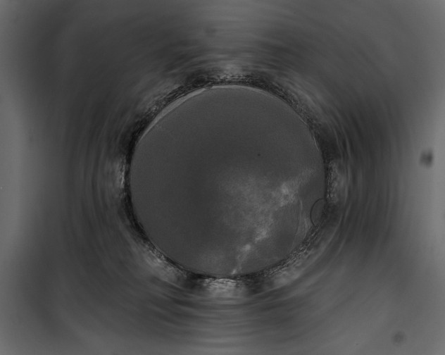 X0000100330230200806191115