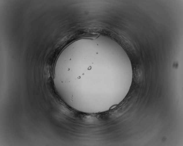 X0000100330232200806191115