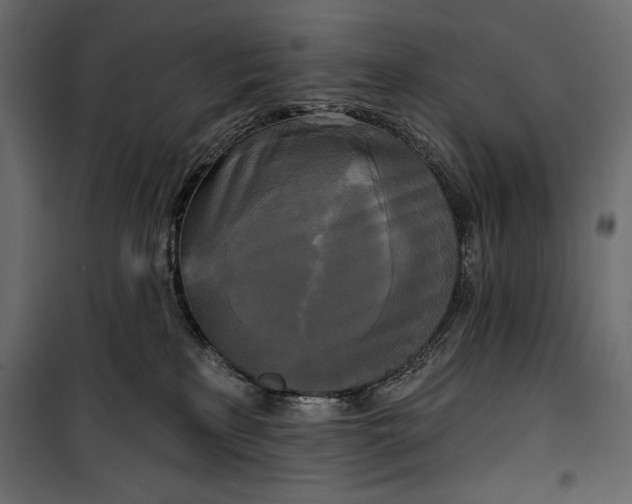 X0000100330233200806191115