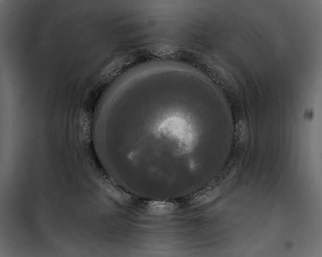 X0000100330234200806191115