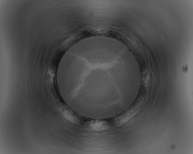 X0000100330235200806191115