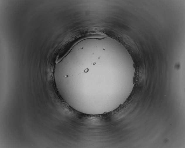 X0000100330236200806191115