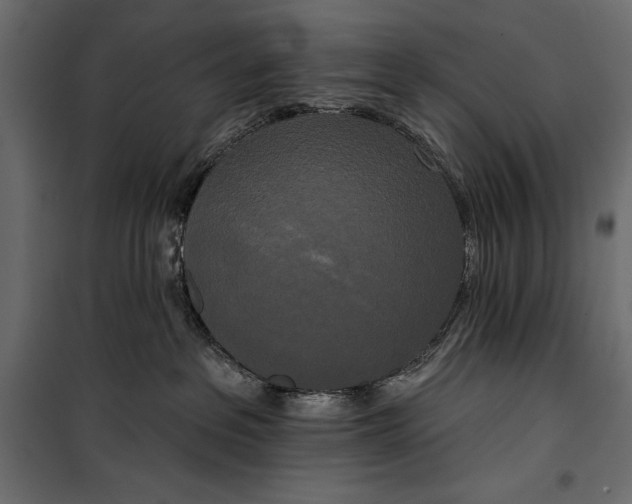 X0000100330237200806191115