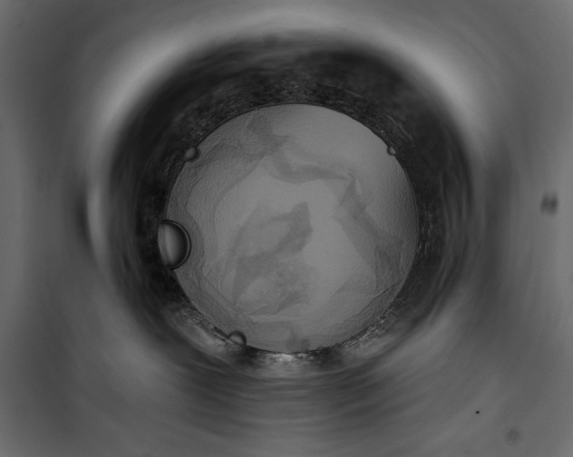 X0000100330239200806191115