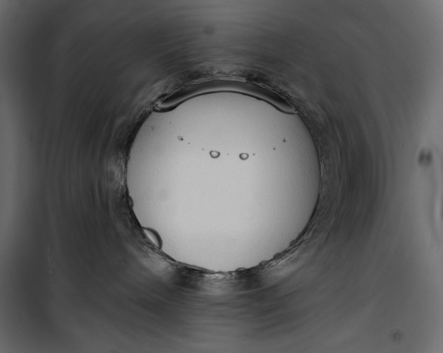 X0000100330240200806191115