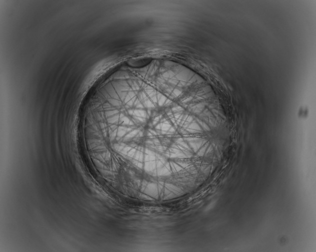 X0000100330242200806191114