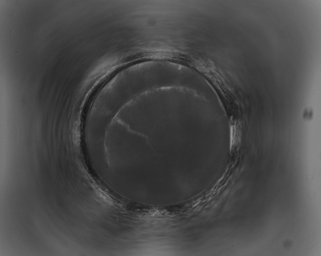 X0000100330243200806191114