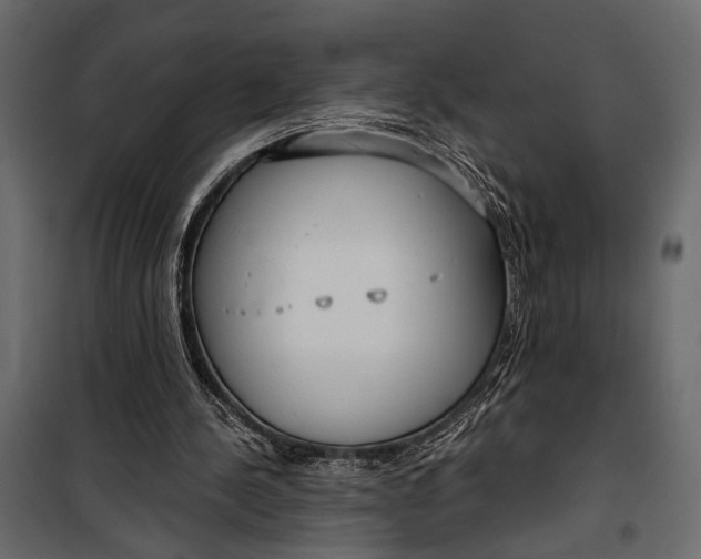 X0000100330244200806191114