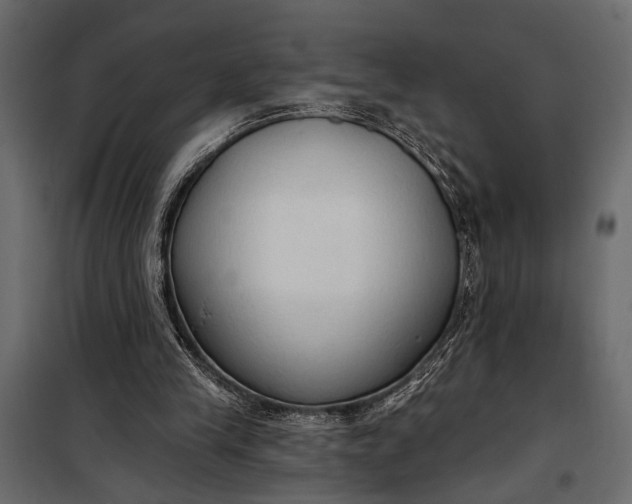 X0000100330245200806191114