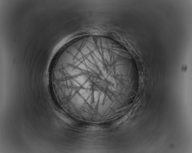 X0000100330246200806191114