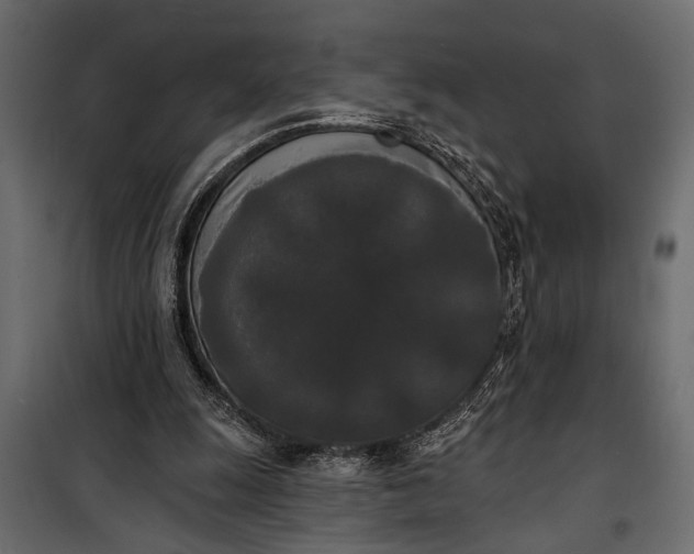 X0000100330247200806191114