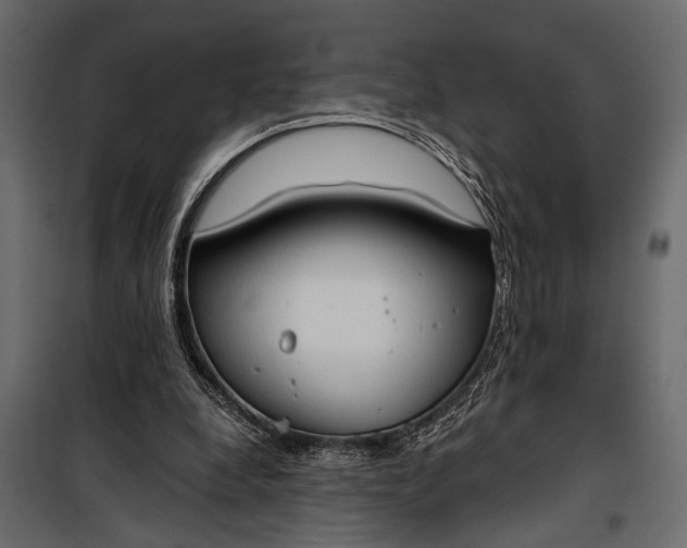 X0000100330248200806191114