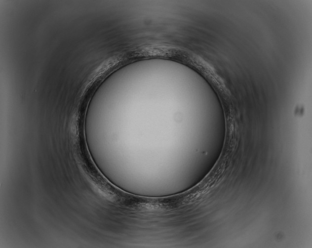 X0000100330250200806191115