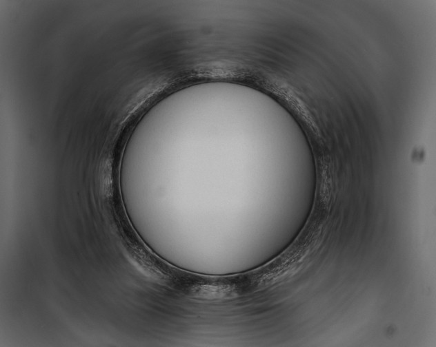 X0000100330251200806191115