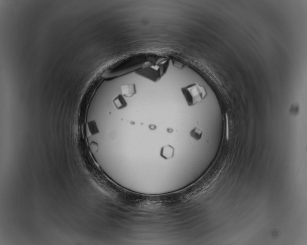 X0000100330252200806191115