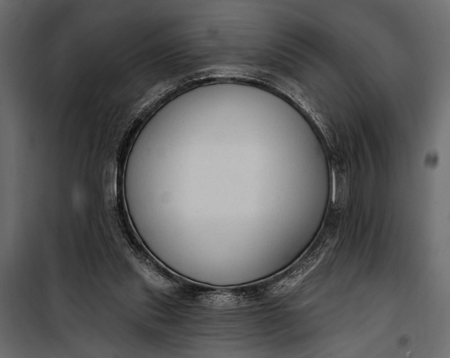 X0000100330253200806191115