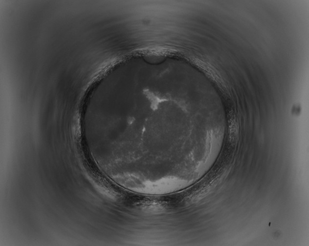 X0000100330254200806191115