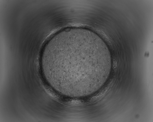 X0000100330256200806191115