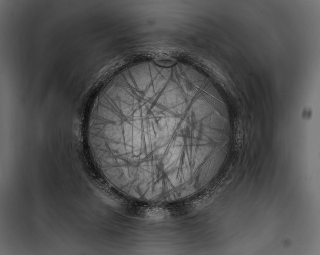 X0000100330258200806191115