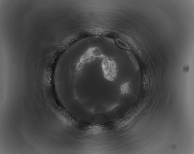 X0000100330259200806191115