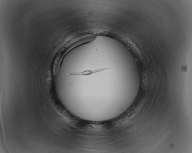 X0000100330260200806191115