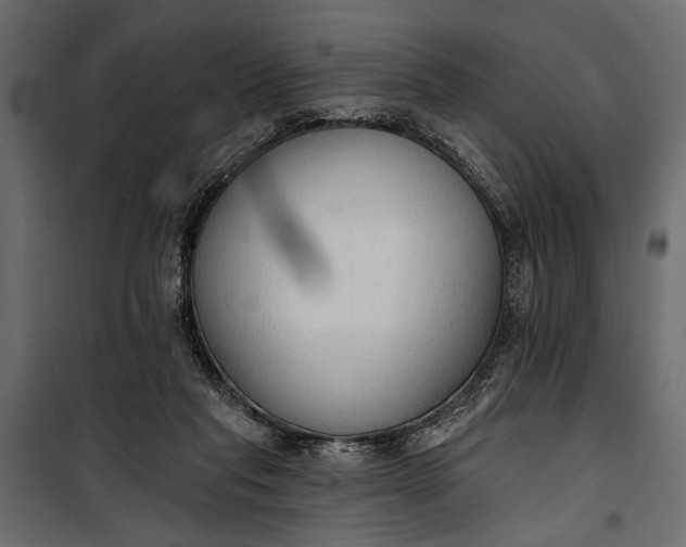 X0000100330261200806191115