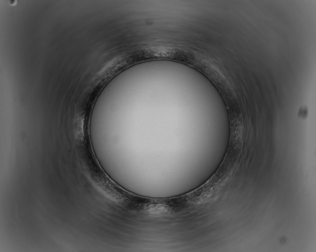 X0000100330262200806191115