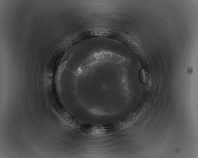 X0000100330263200806191115