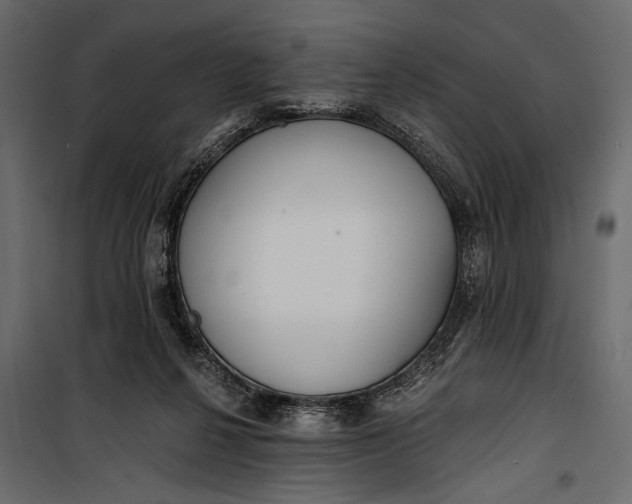 X0000100330264200806191115