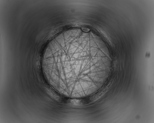 X0000100330265200806191115