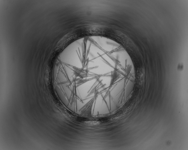 X0000100330266200806191115