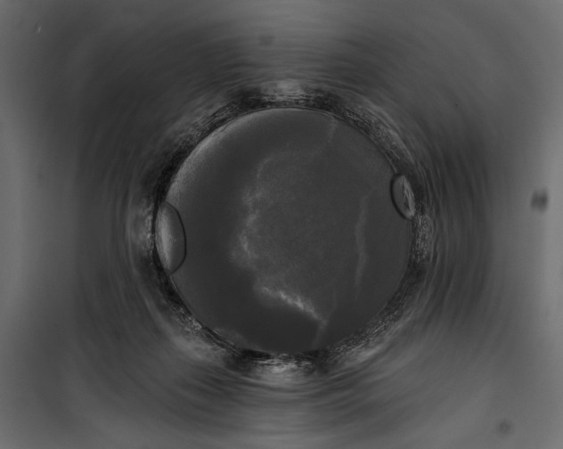 X0000100330267200806191115