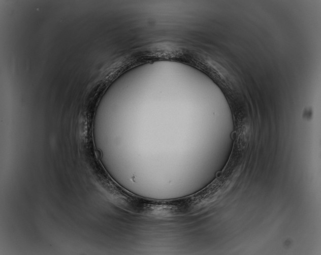 X0000100330268200806191115