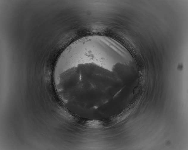 X0000100330269200806191115