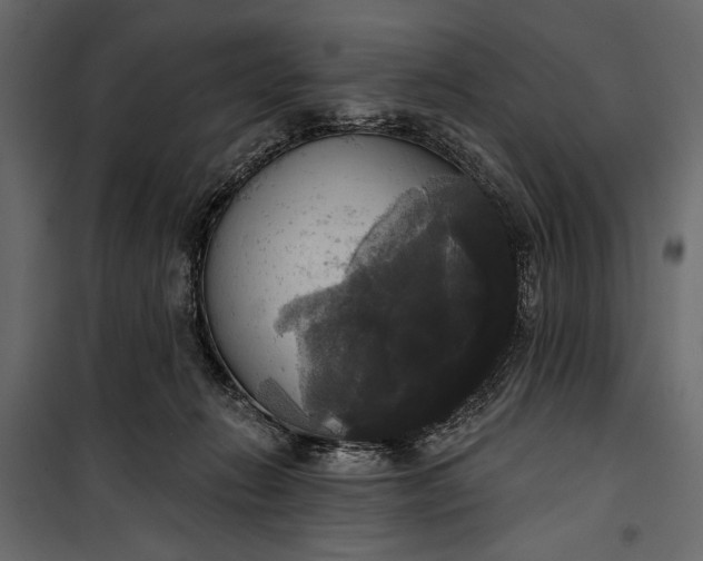 X0000100330270200806191115