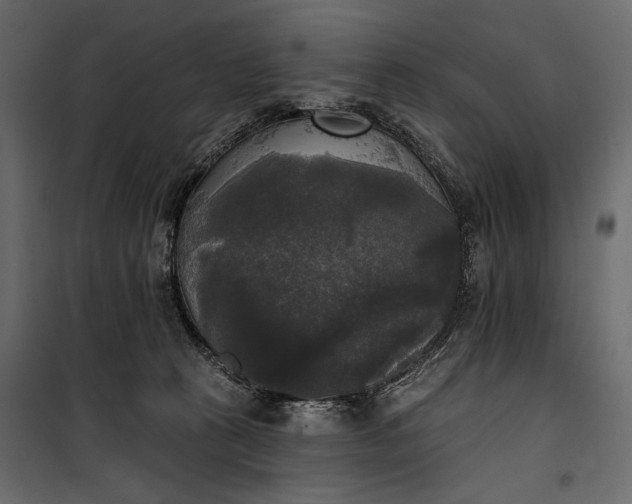 X0000100330273200806191115