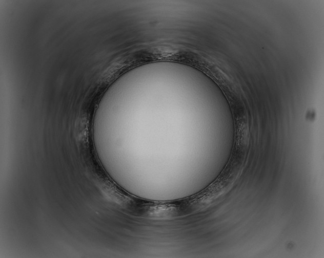 X0000100330274200806191115