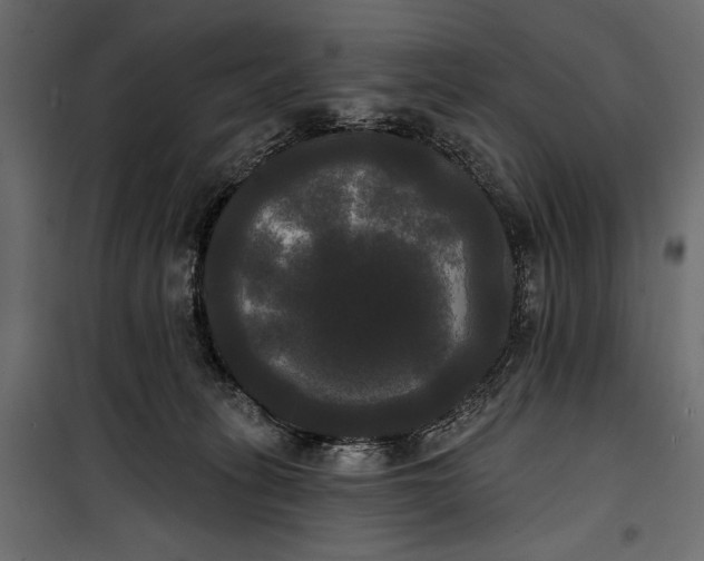 X0000100330275200806191115