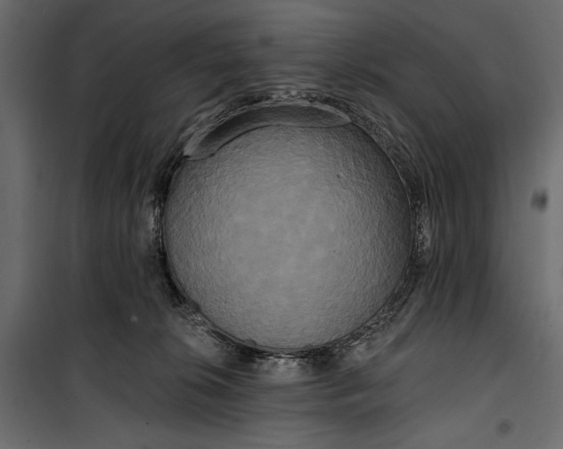 X0000100330276200806191115