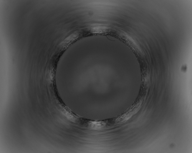 X0000100330277200806191115