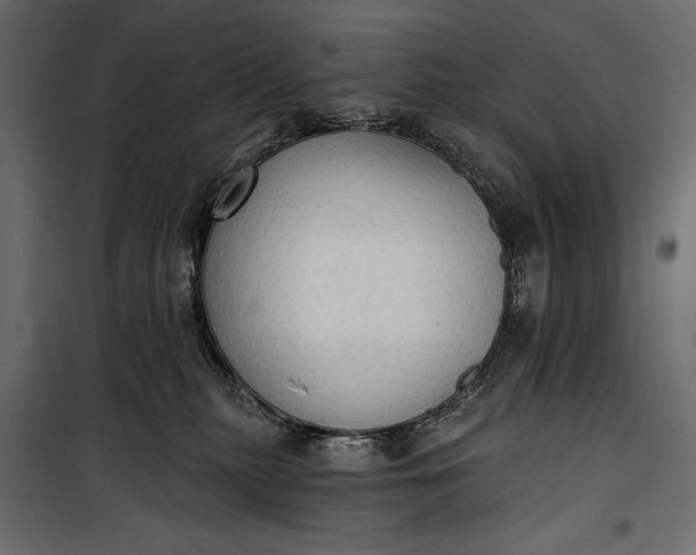 X0000100330279200806191115