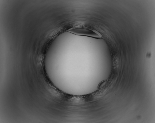 X0000100330280200806191115