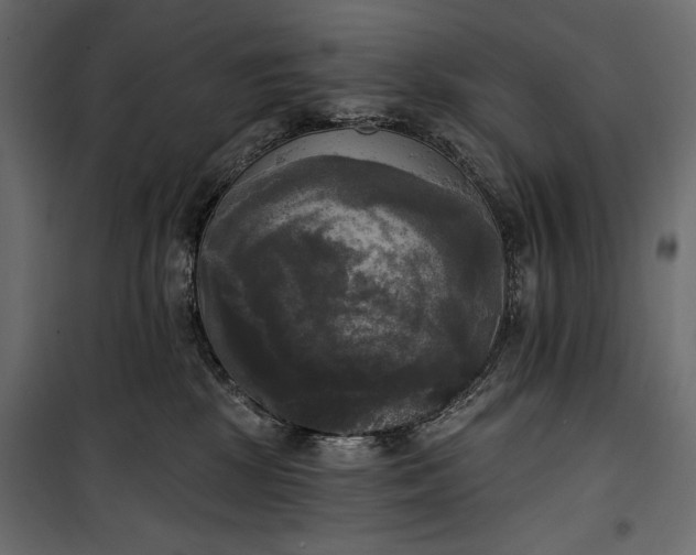 X0000100330281200806191115