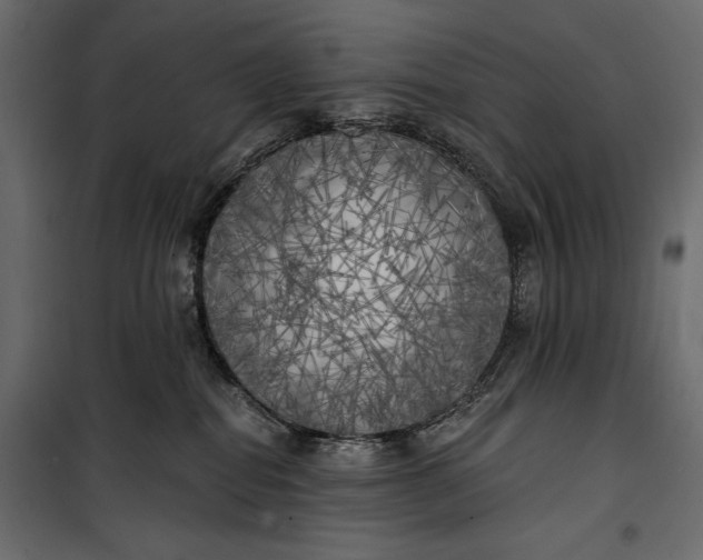 X0000100330282200806191115