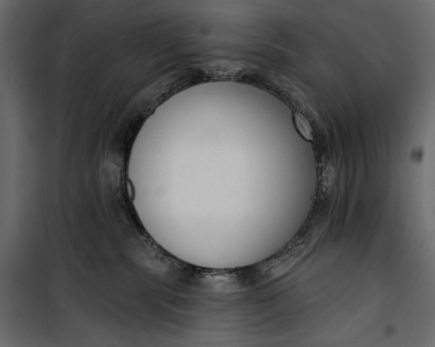 X0000100330283200806191115